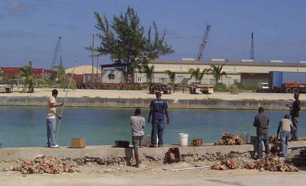 No photo description available.