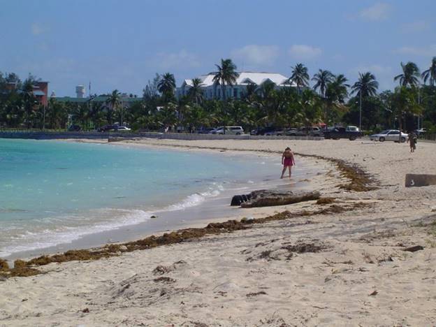 No photo description available.