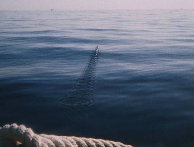 No photo description available.