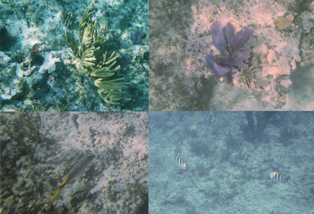 No photo description available.