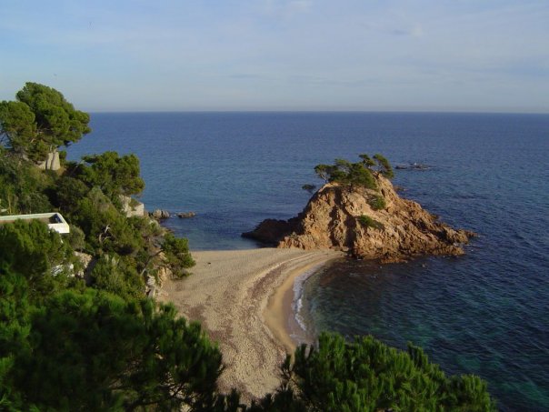 No photo description available.