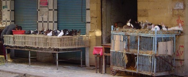 No photo description available.