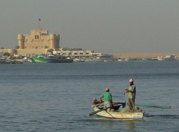 No photo description available.