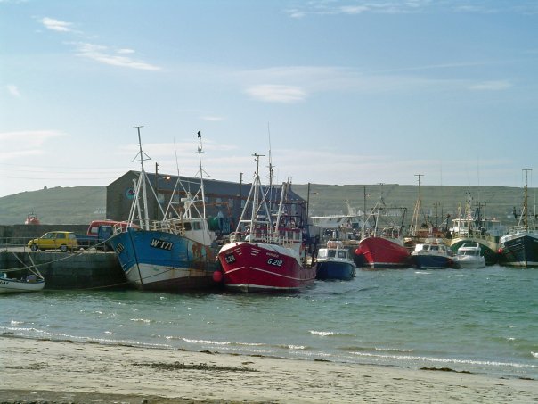 No photo description available.