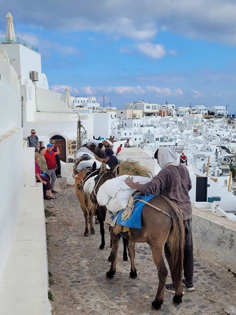 A group of people riding horses
Description automatically generated with low confidence